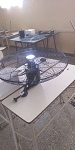 Compra de ventiladores